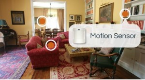 Romote Monitoring Motion Sensor